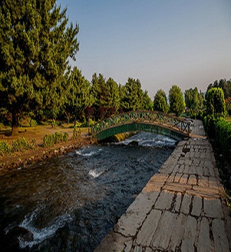 Kokernag